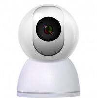 Malleable Study Time